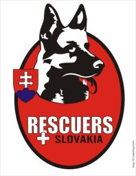 WhatsApp Image 2024-11-07 at 17.47.35